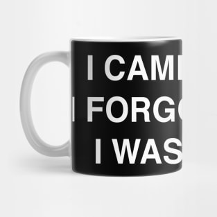 I CAME I SAW Mug